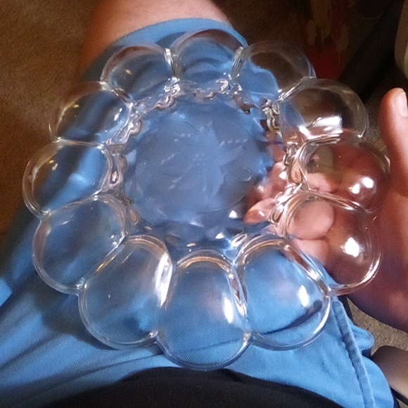 Princess house deviled egg holder - Picture 6 of 6